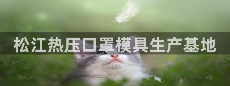 易倍申价格