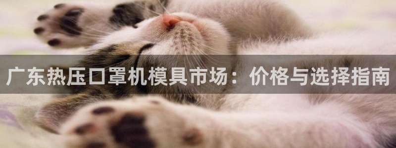emc易倍ios官网