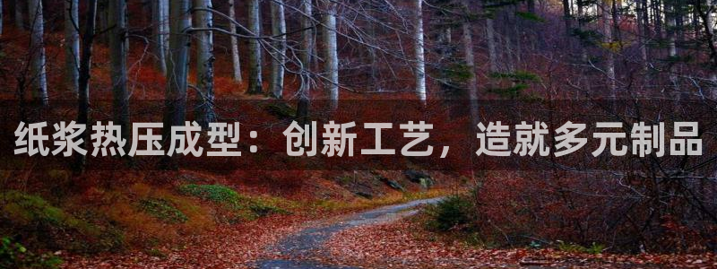 易倍申在中国成功上市