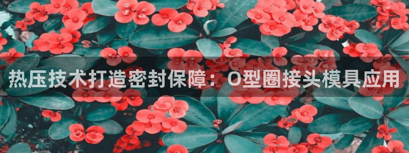 emc全站网页版