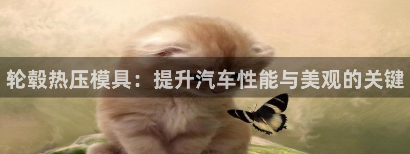 emc网页版