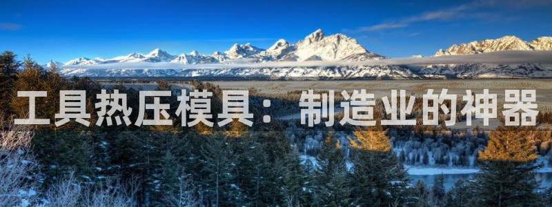 易倍纤酵素效果好吗
