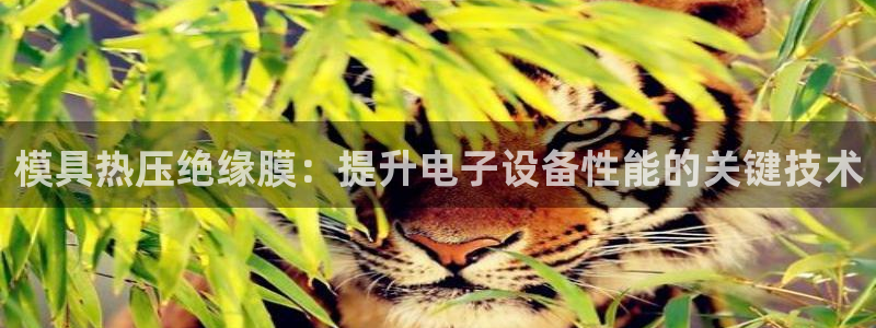 EMC易倍官方网址