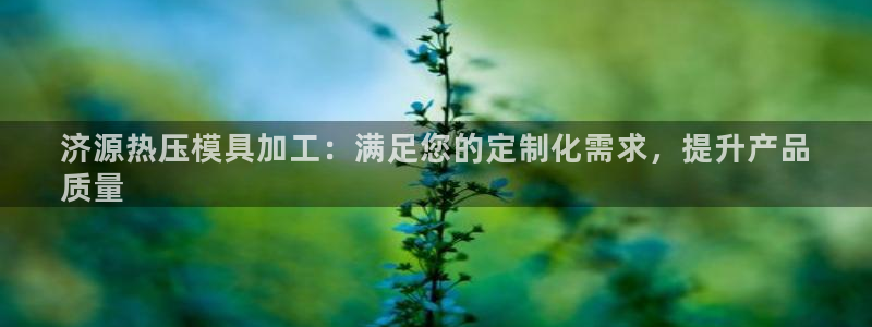 杭州易倍达科技有限公司怎么样