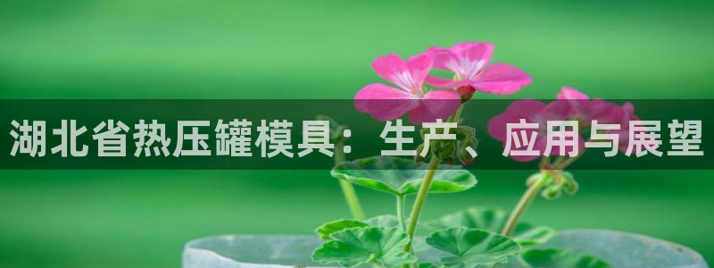 易倍申能长期吃吗