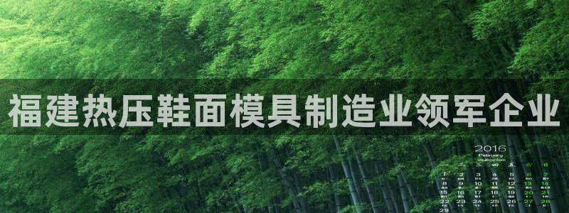 杭州易倍达上班怎么样