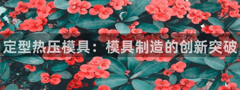 易倍易倍单词官方网站