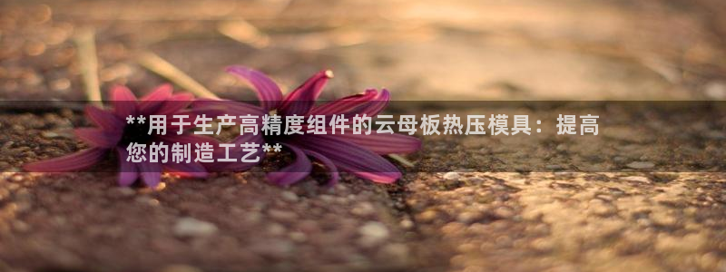 emc易倍怎么样