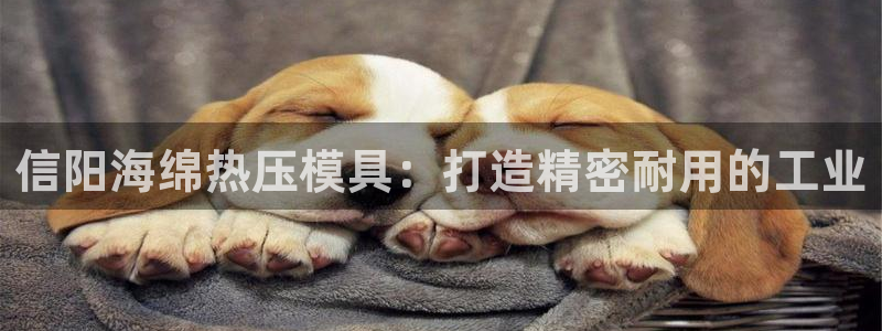 易倍纤价格
