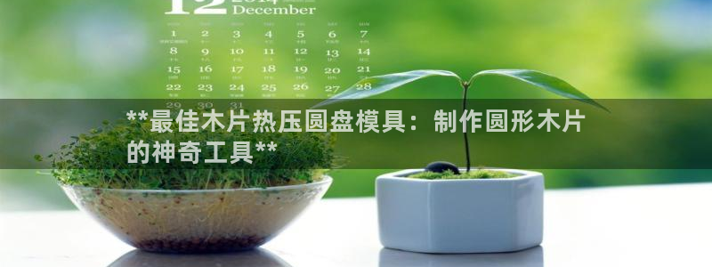 易倍纤减肥反弹不