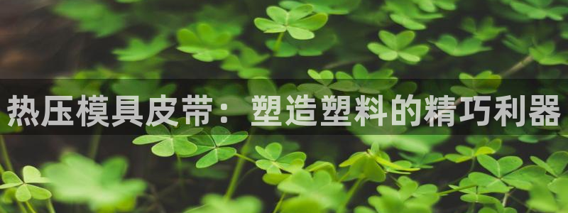 Emc易赔体育