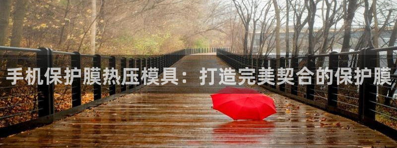 易倍纤代餐粉能减肥吗：手机保护膜热压模具：打造完美契合的