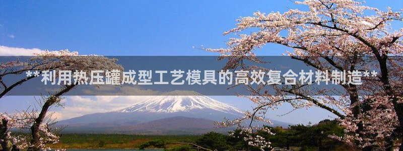 易倍下载手机版：**利用热压罐成型工艺模具的高效复合材料