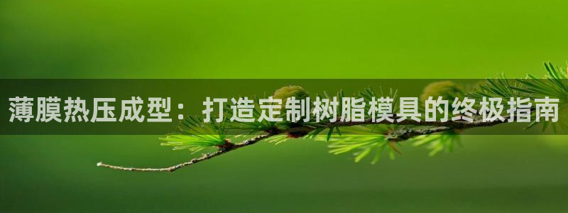易倍单词如何下载：薄膜热压成型：打造定制树脂模具的终极指