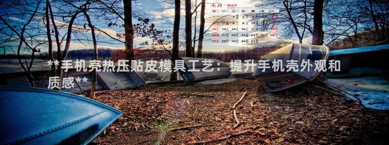 杭州易倍达上班怎么样：**手机壳热压贴皮模具工艺：提升手
