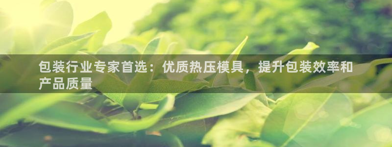 易倍申怎么样：包装行业专家首选：优质热压模具，提升包装效