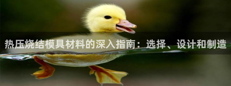杭州易倍达：热压烧结模具材料的深入指南：选择、设计和制造