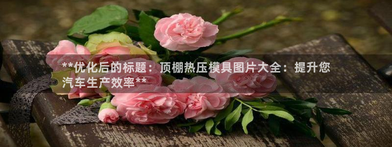 emc易倍平台：**优化后的标题：顶棚热压模具图片大全：