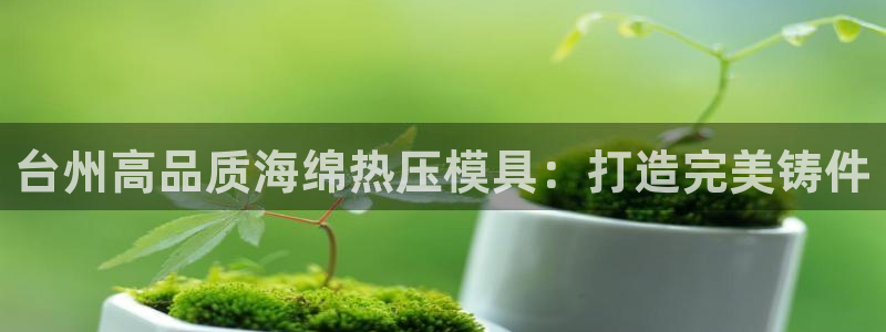 易倍申片的副作用：台州高品质海绵热压模具：打造完美铸件