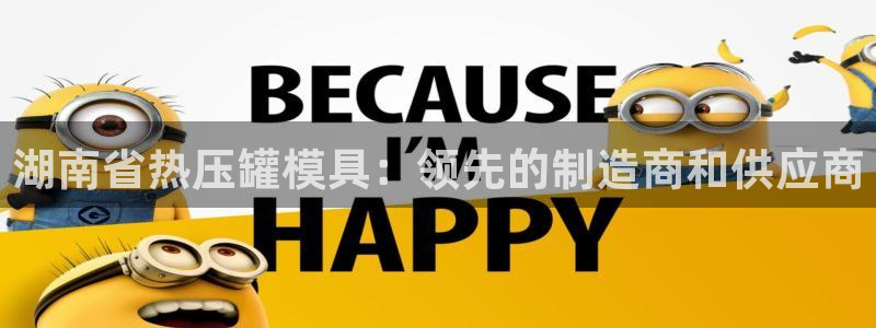 易倍申片说明书：湖南省热压罐模具：领先的制造商和供应商