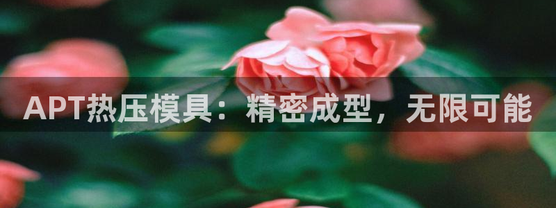 易倍科华生物科技有限公司：APT热压模具：精密成型，无限