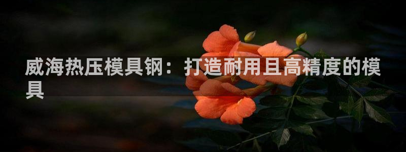 易倍单词官方网站下载安卓：威海热压模具钢：打造耐用且高精
