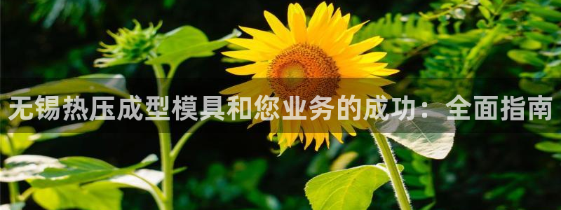 emc易倍电竞：无锡热压成型模具和您业务的成功：全面指南