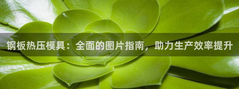 emc 倍频：钢板热压模具：全面的图片指南，助力生产效率