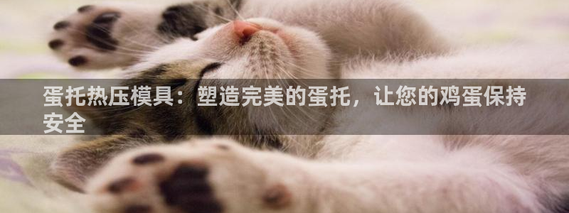 emc全站ag：蛋托热压模具：塑造完美的蛋托，让您的鸡蛋