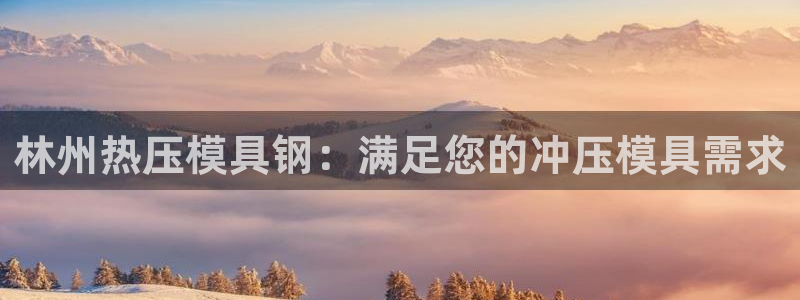 易倍申是进口药吗：林州热压模具钢：满足您的冲压模具需求