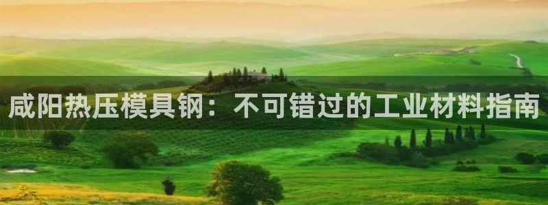 emc测试频率范围：咸阳热压模具钢：不可错过的工业材料指