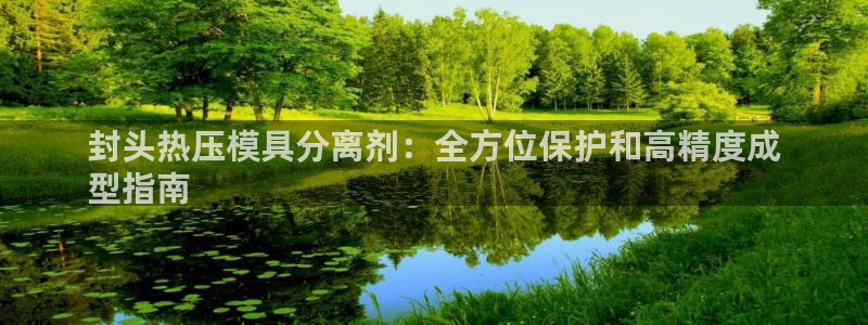 易倍申片说明书：封头热压模具分离剂：全方位保护和高精度成