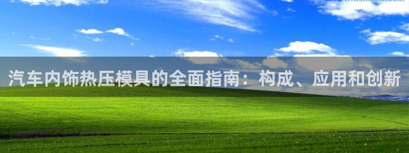 emc服务器是干啥的：汽车内饰热压模具的全面指南：构成、