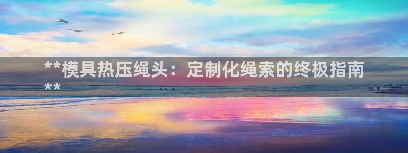emc易倍官方下载：**模具热压绳头：定制化绳索的终极指