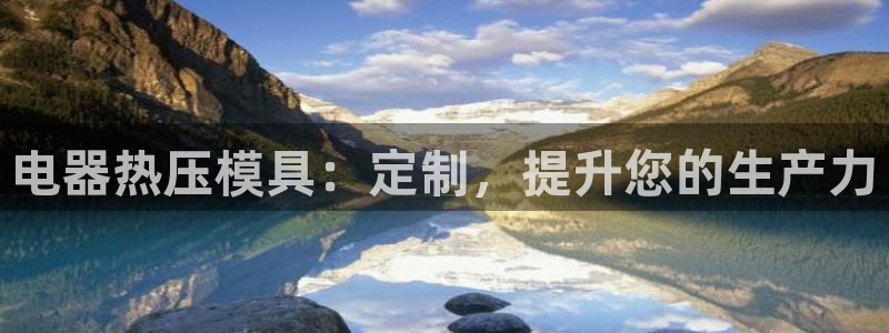 易倍网页版登录：电器热压模具：定制，提升您的生产力