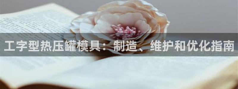 emc易倍官方下载：工字型热压罐模具：制造、维护和优化指