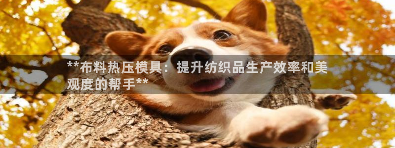 emcbet全站：**布料热压模具：提升纺织品生产效率和