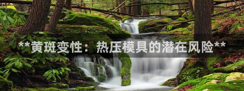 emc易倍首存500送球衣：**黄斑变性：热压模具的潜在